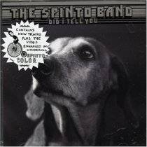 The Spinto Band : Did I Tell You